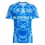 25/26 Tigres Away Jersey