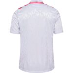 24/25 Denmark Away Jersey