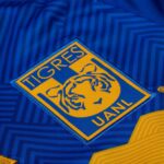 24/25 Tigres Away Jersey